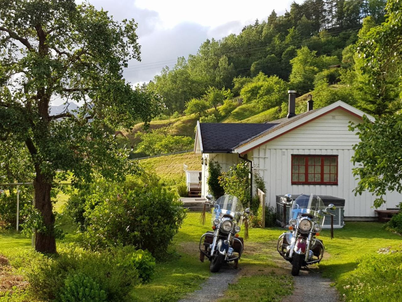 Dalhus - House In The Valley Norddal エクステリア 写真