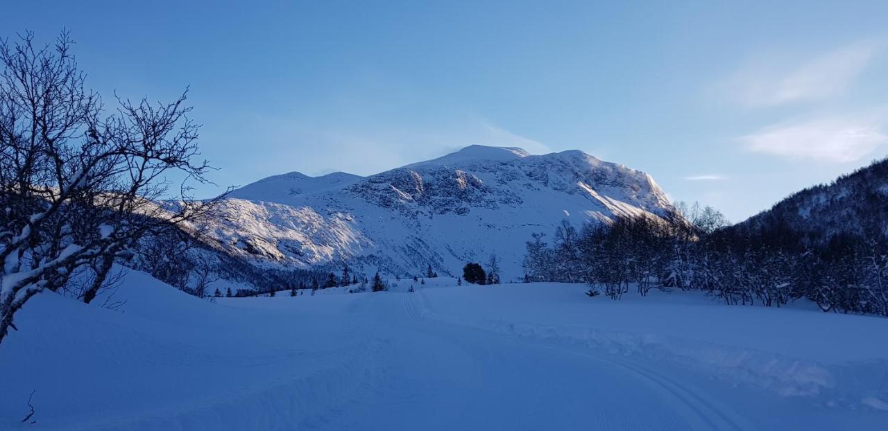 Dalhus - House In The Valley Norddal エクステリア 写真